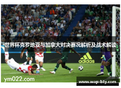 世界杯克罗地亚与加拿大对决赛况解析及战术解读