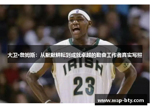 大卫·詹姆斯：从默默耕耘到成就卓越的勤奋工作者真实写照